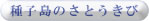 種子島のさとうきび
